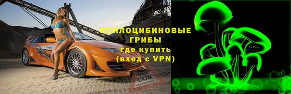 МДПВ Алексин